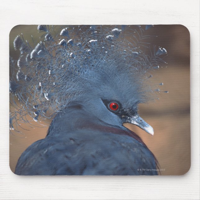 crowned pigeon mouse pad (Front)