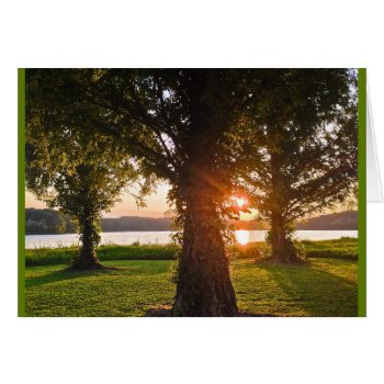 Crowning Glory Sunset by DesireeGriffiths at Zazzle