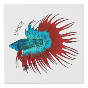 Crowntail betta fish cartoon illustration faux canvas print