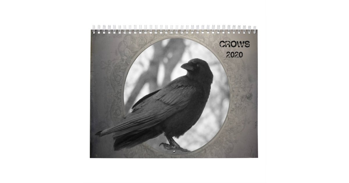 Crows 2020 calendar | Zazzle.com