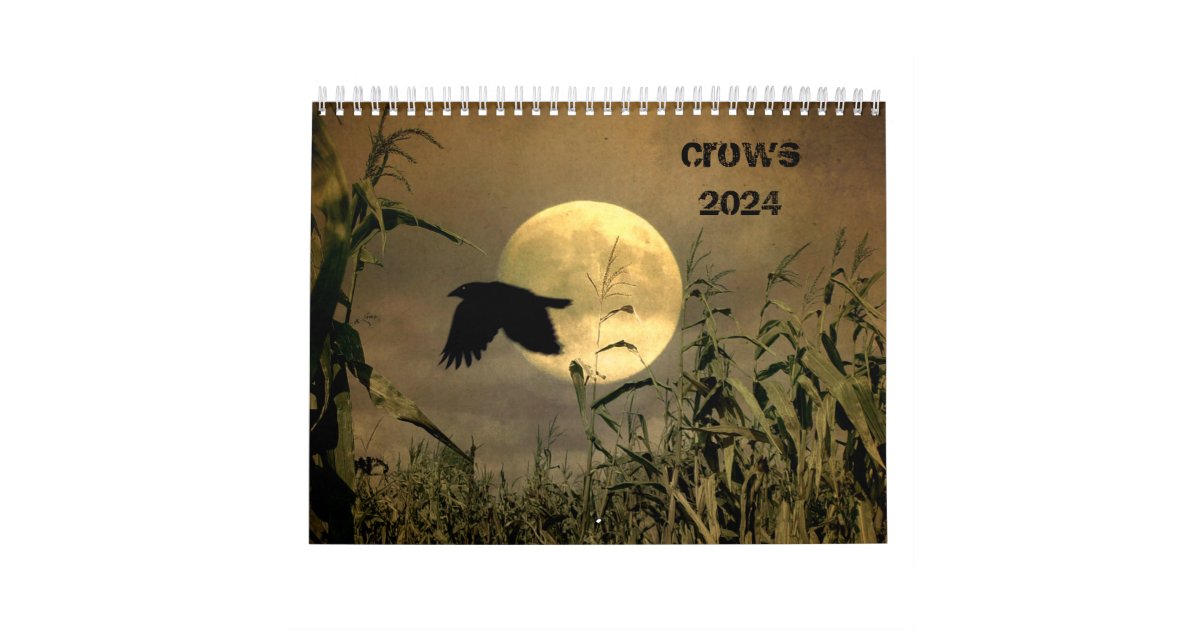 Crows 2024 Calendar Zazzle