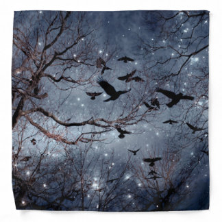 Crows And The Night Stars Bandana
