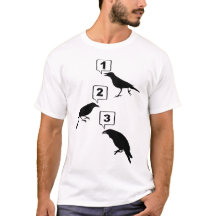 Crows Counting