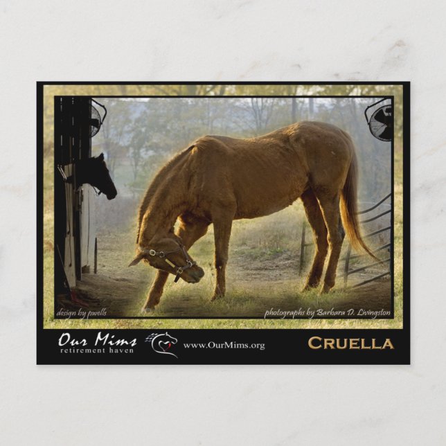 Cruella Post Card (Front)