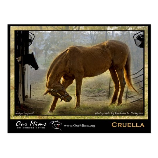 Cruella Post Card