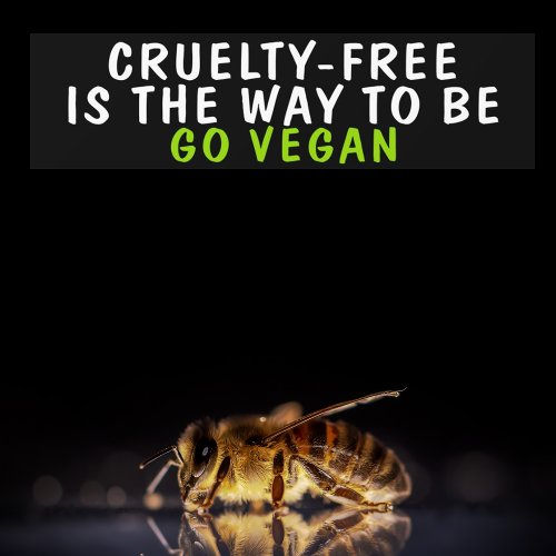 Cruelty Free is The Way To Be Vegan Activism  Bumper Sticker