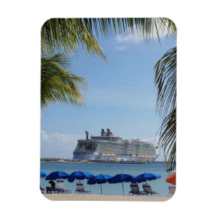 Cruise Ship 3" x 4" Flexible Photo Magnet