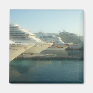 Cruise Ships at Sunrise Magnet