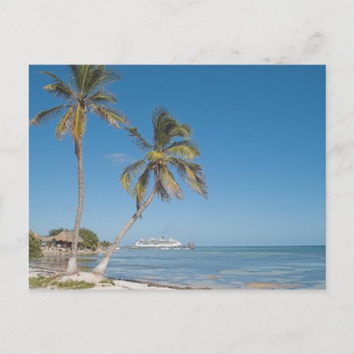 Cruise Ships in Costa Maya Postcard