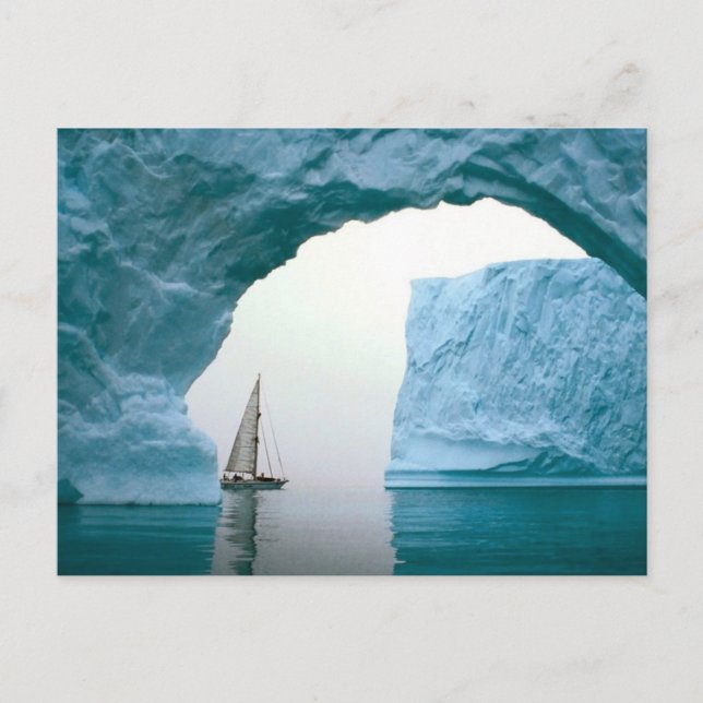 Cruising Antarctica Postcard (Front)