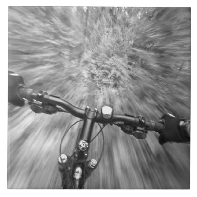 Cruising down a buff section of singletrack tile (Front)