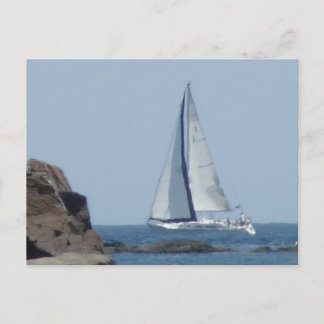 Cruising Sailboat Postcard
