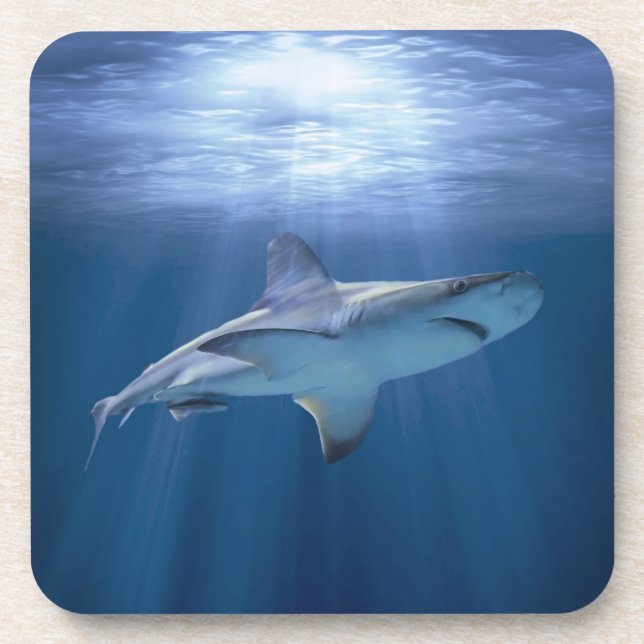 Cruising Shark Drink Coaster (Front)