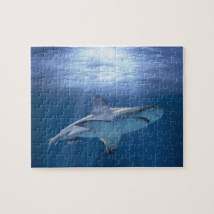 Cruising Shark Jigsaw Puzzle