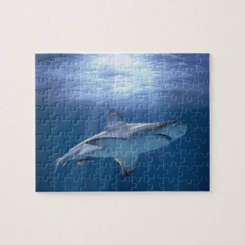 Cruising Shark Jigsaw Puzzle