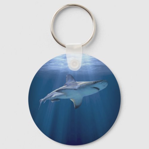 Cruising Shark Keychain
