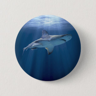 Cruising Shark Pinback Button
