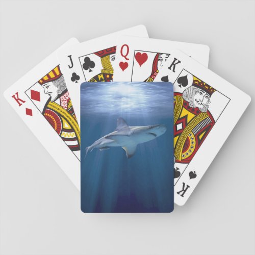 Cruising Shark Playing Cards