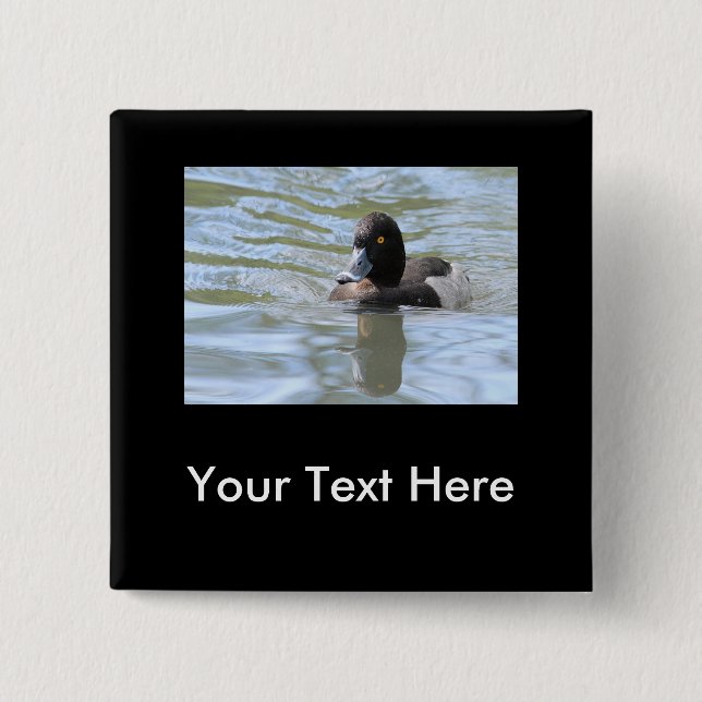 Cruising Tufted Duck Pinback Button (Front)