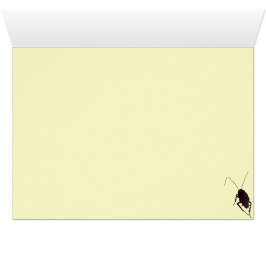 Crunchy Cockroach (Inside Horizontal (Bottom))