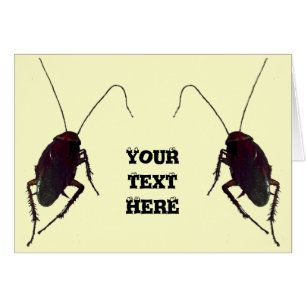 Crunchy Cockroach Cards