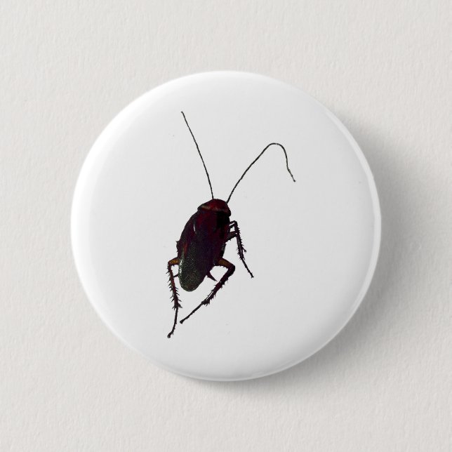 Crunchy Cockroach Pinback Button (Front)