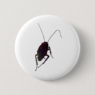 Crunchy Cockroach Pinback Button