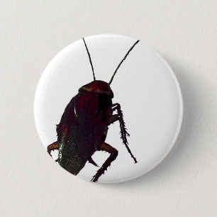 Crunchy Cockroach Pinback Button