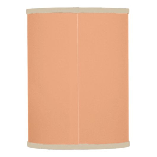 Crushed Apricots Solid  Lamp Shade (Back)