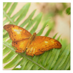 Crusier butterfly ceramic tile