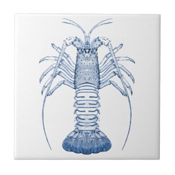 Crustaceans Ceramics ~ Rock Lobster Ceramic Tile by OldArtReborn at Zazzle