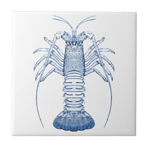 Crustaceans Ceramics  Rock Lobster Ceramic Tile
