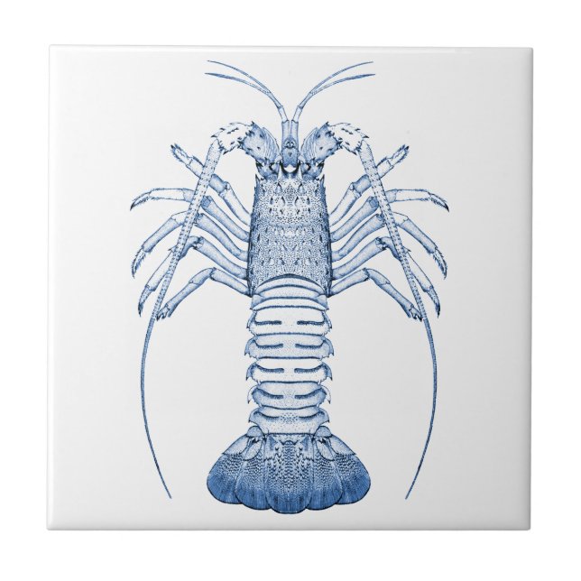 Crustaceans Ceramics ~ Rock Lobster Ceramic Tile (Front)