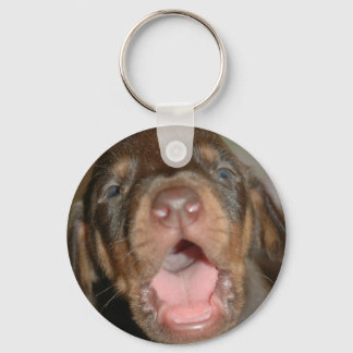 Cry baby Doberman Keychain