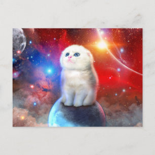 Crying cat in space postcard