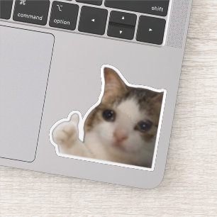 Crying Cat Thumbs Up Wholesome Meme Sticker