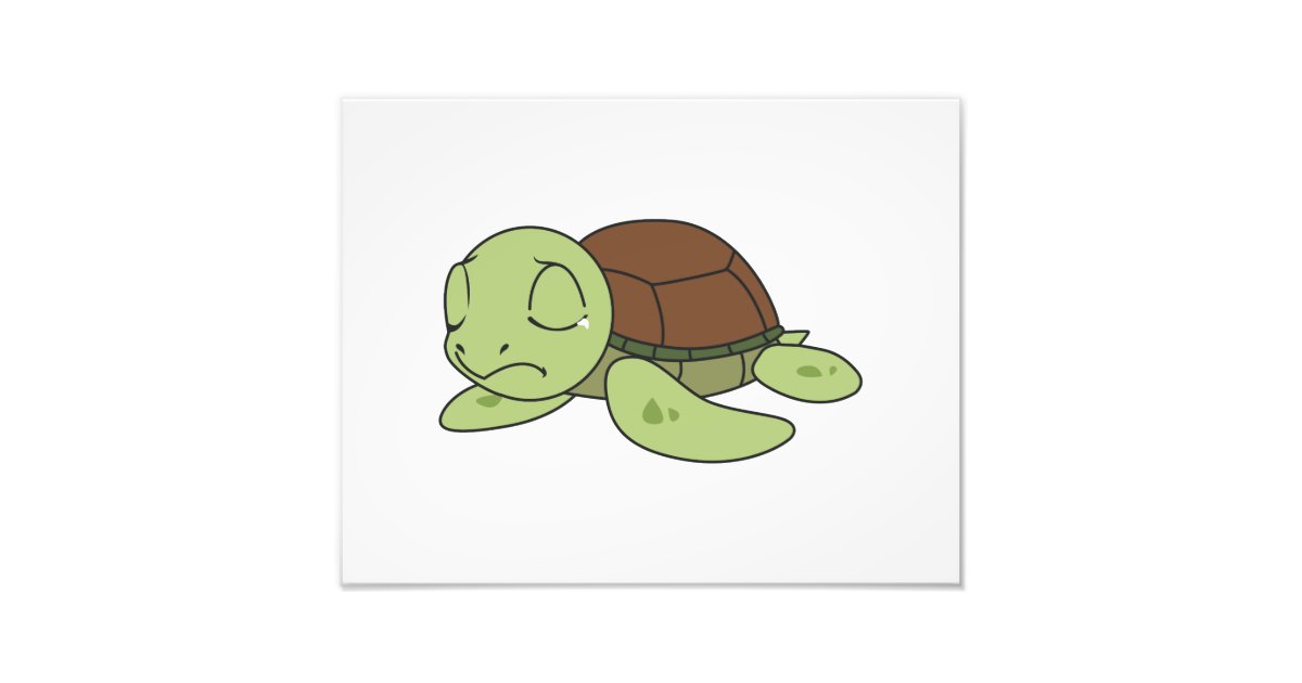 crying turtle