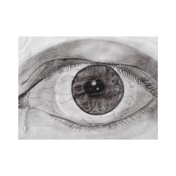 Crying Eye Sketch Gallery Wrap Canvas