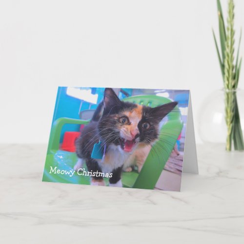 Crying Kitten Card