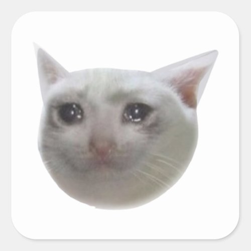 Crying Meme Cat Square Sticker