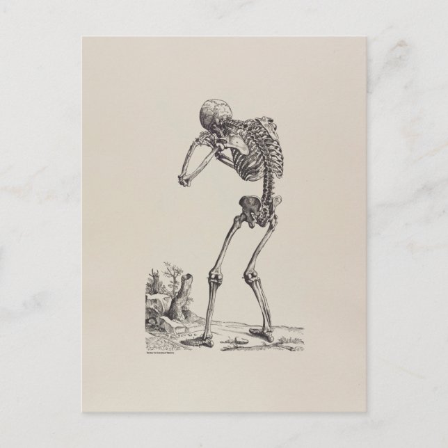 Crying Skeleton Postcard (Front)