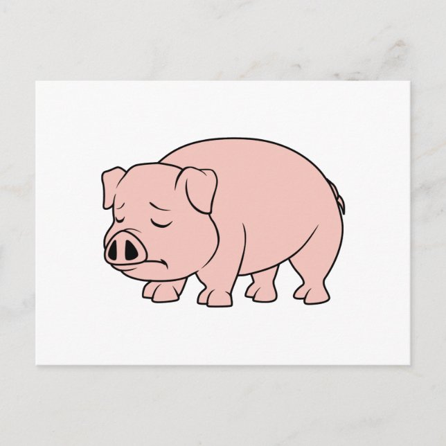 Crying Weeping Pink Piglet National Pig Day Postcard (Front)
