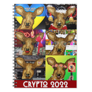 Crypto 2022 Notebook