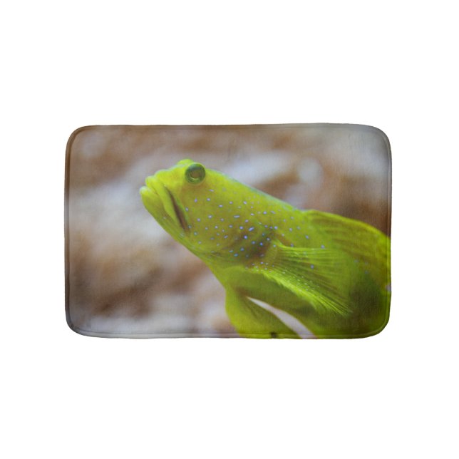 Cryptocentrus cinctus bathroom mat (Front)