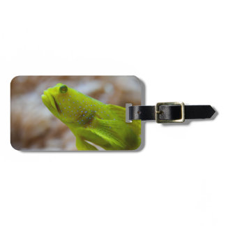 Cryptocentrus cinctus luggage tag