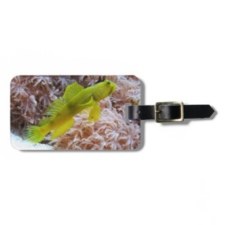 Cryptocentrus cinctus luggage tag