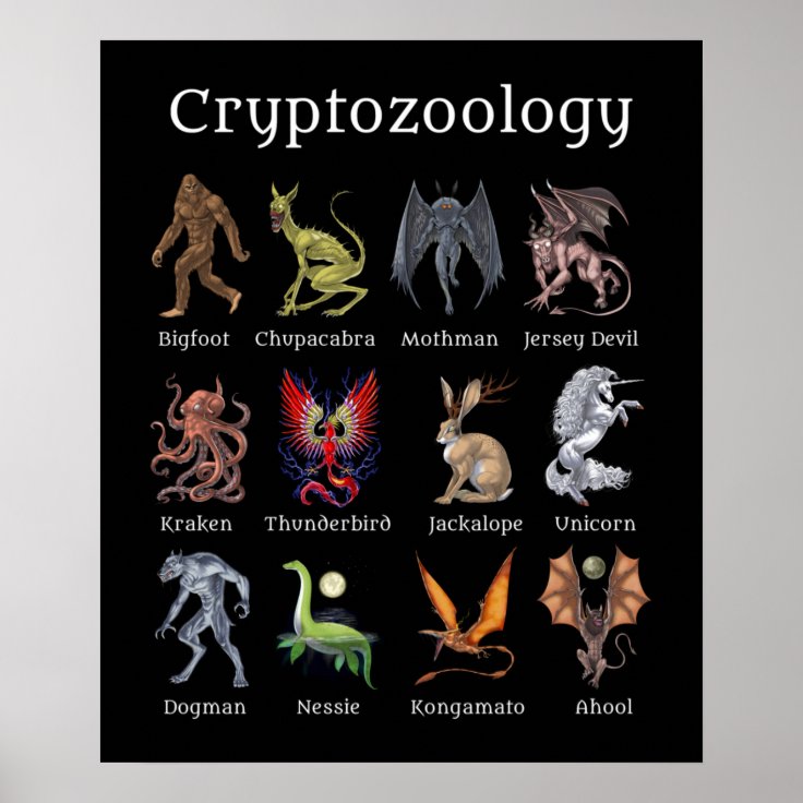 Cryptozoology Cryptid Creatures Poster | Zazzle