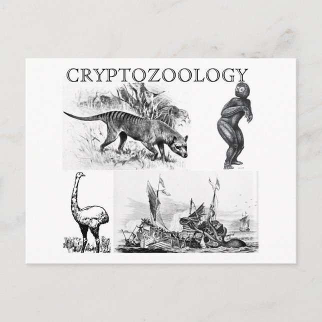 cryptozoology postcard (Front)