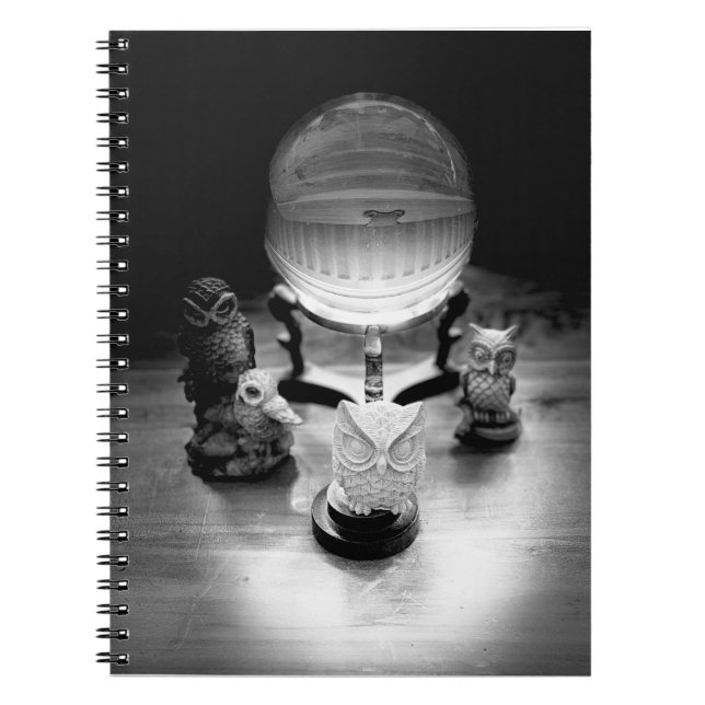 Crystal Ball and Ornamental Owls Notebook (Front)