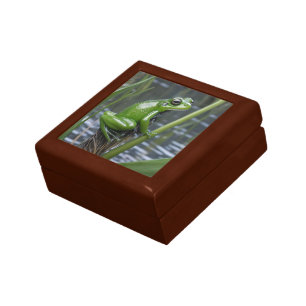 "Crystal Clarity: Green Glass Frog on River Reeds" Gift Box
